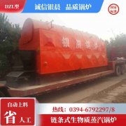 燃甲醇热水锅炉