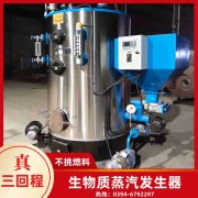 12吨锅炉
