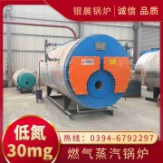 沼气蒸汽锅炉