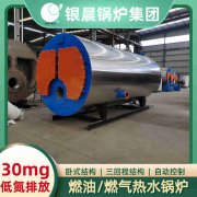生物质燃煤两用锅炉