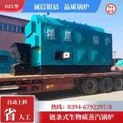 生物质颗粒蒸汽锅炉