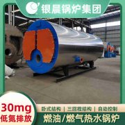 生物导热油锅炉