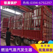12吨低氮锅炉