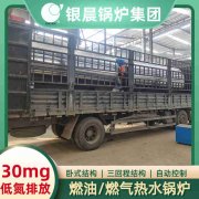 CWNS0.49-85/60-QY燃气热水锅炉