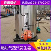 0.3吨锅炉